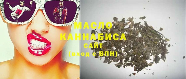 Альфа ПВП Инсар