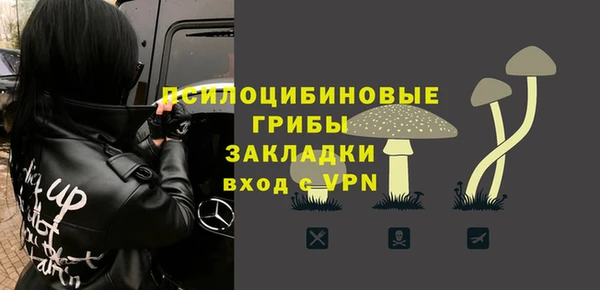 гидропоника Инта