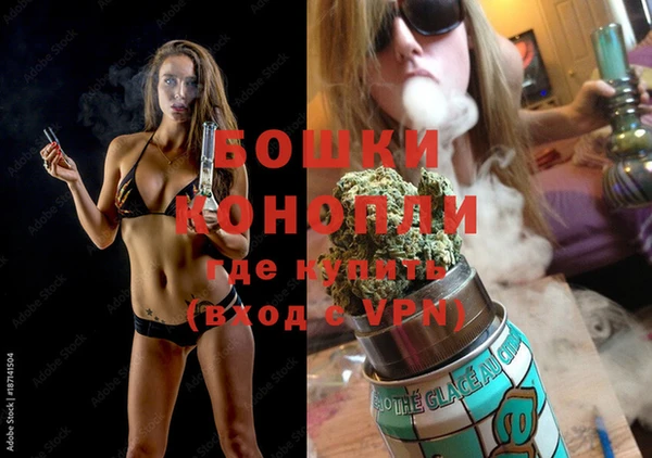 Альфа ПВП Инсар