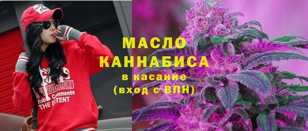 гидропоника Инта