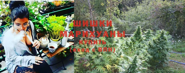 гидропоника Инта