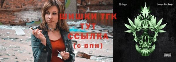 Альфа ПВП Инсар