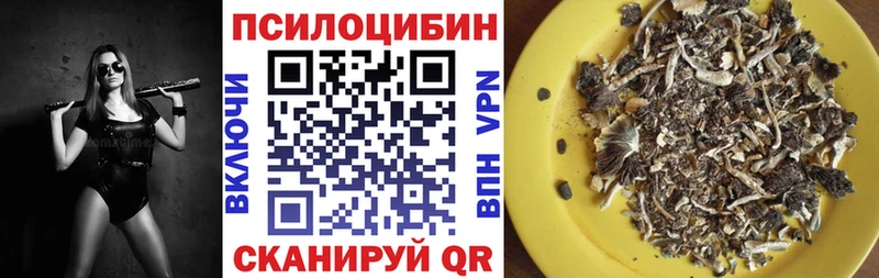 Галлюциногенные грибы прущие грибы  Купить закладки  Ишимбай 